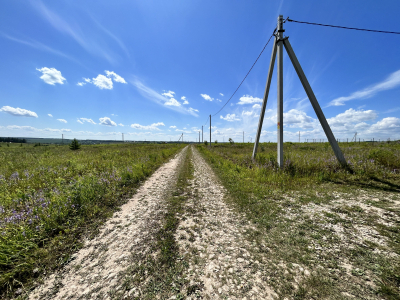 Дмитриевское