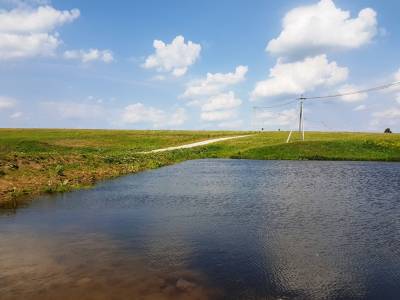 Дмитриевское