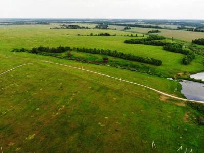 Дмитриевское