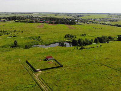 Дмитриевское