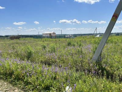 Дмитриевское