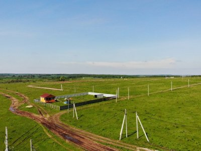 Дмитриевское