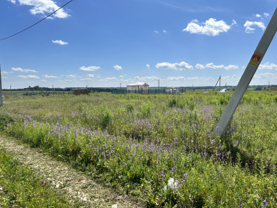 Дмитриевское