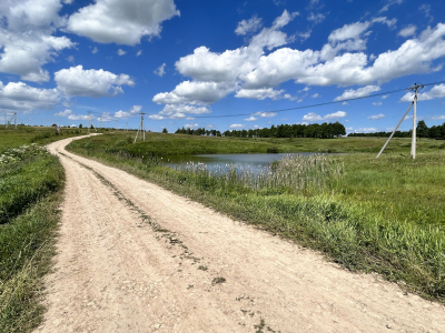 Дмитриевское