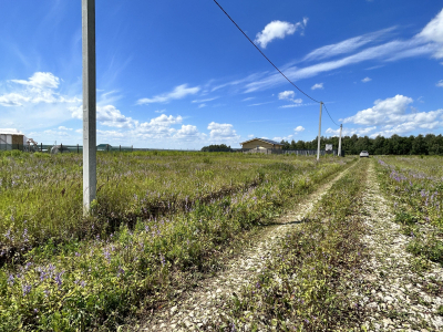 Дмитриевское