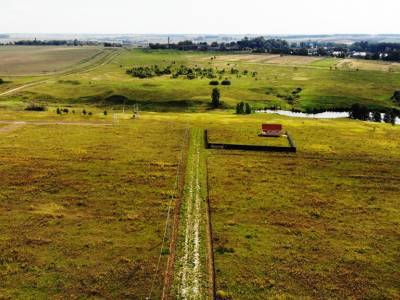 Дмитриевское