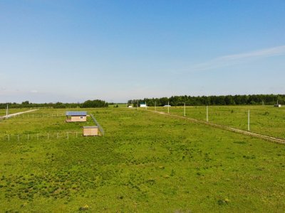 Дмитриевское