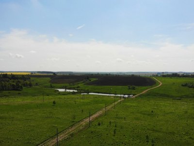 Дмитриевское