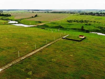 Дмитриевское