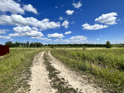 Дмитриевское