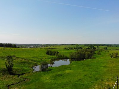 Дмитриевское