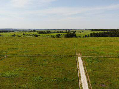 Дмитриевское