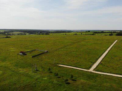 Дмитриевское