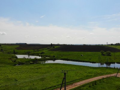 Дмитриевское