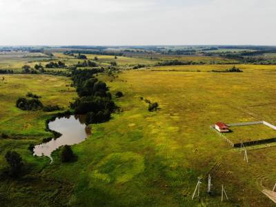 Дмитриевское