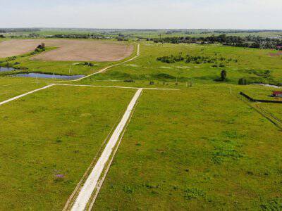 Дмитриевское