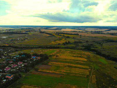 Дмитриевское