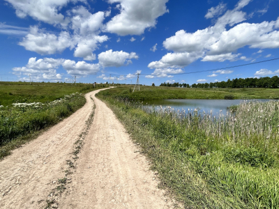 Дмитриевское