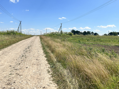 Дмитриевское