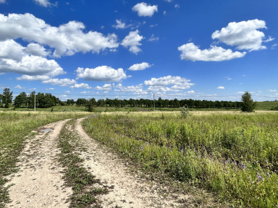 Дмитриевское