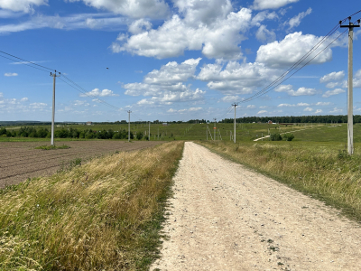 Дмитриевское