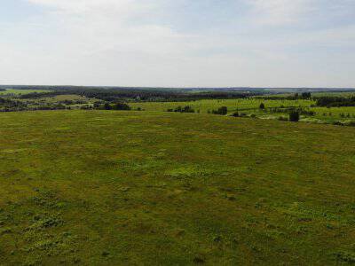 Дмитриевское