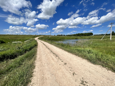 Дмитриевское