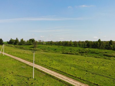 Дмитриевское