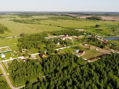 Незабудкино