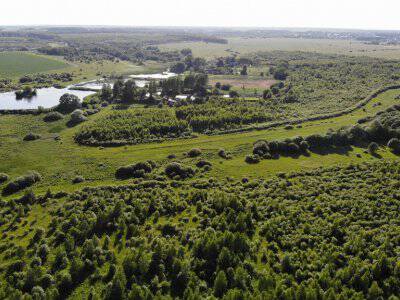 Незабудкино