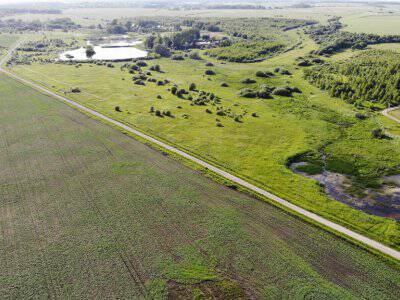 Незабудкино