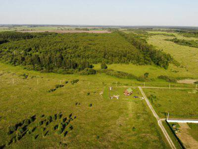 Незабудкино