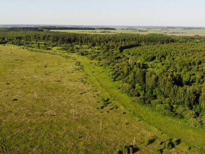 Незабудкино