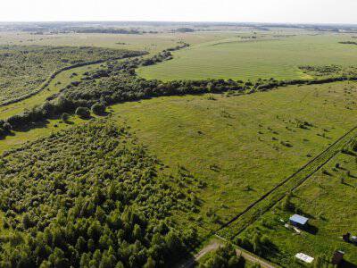 Незабудкино