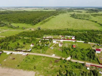 Незабудкино