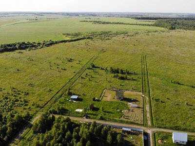 Незабудкино