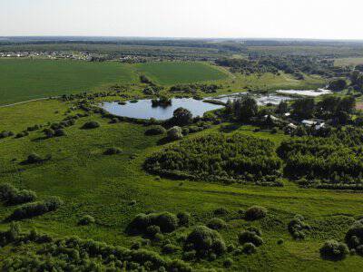 Незабудкино