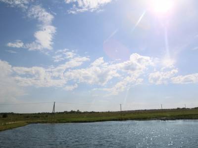 Незабудкино