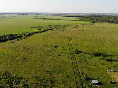 Незабудкино