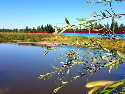 Незабудкино