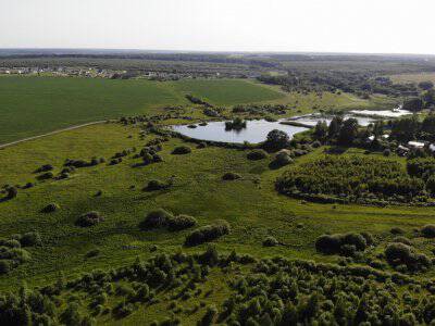 Незабудкино