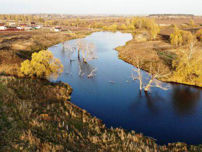 Васильково VIP