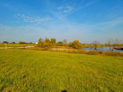 Васильково VIP