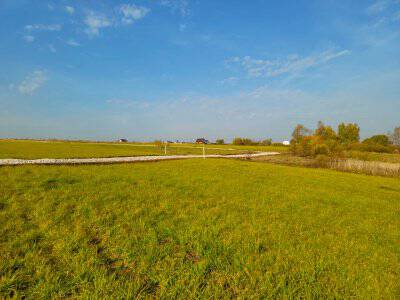 Васильково VIP