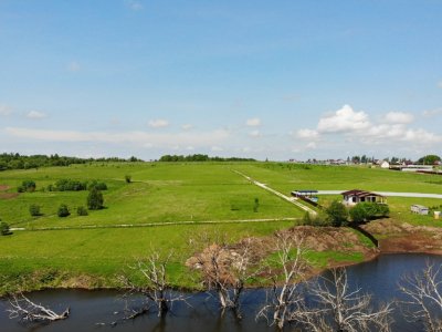 Васильково VIP