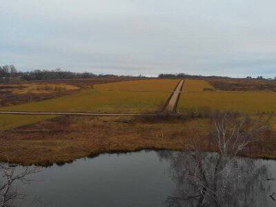 Васильково VIP