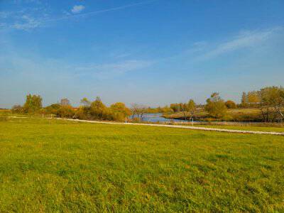 Васильково VIP