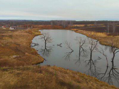 Васильково VIP