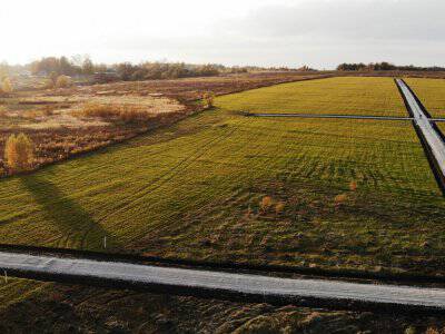 Васильково VIP