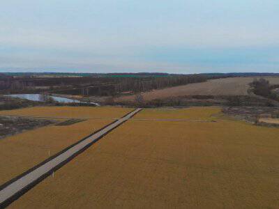 Васильково VIP